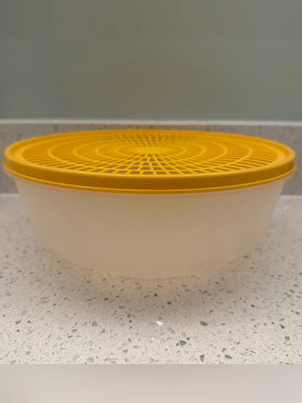 Tupperware Colander Strainer